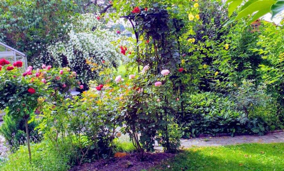 Ferien im Paradies - Wohnung Vera Ferien im Paradies - Wohnung Vera