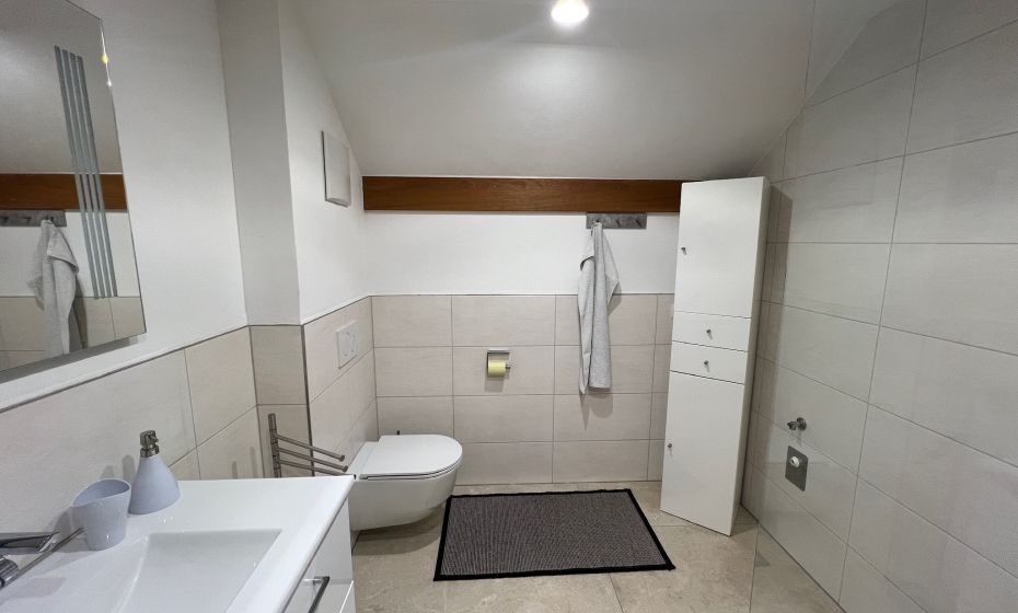 Apartment Vinomna Rankweil, Badezimmer