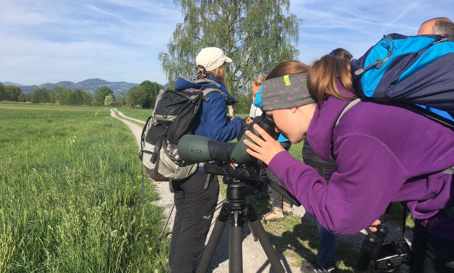 Birdwatching Rheindelta Birdwatching Rheindelta