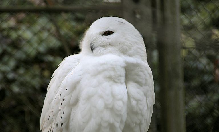 Doppelmayr-Zoo-c-Doppelmayr-Zoo_9-768x489 Doppelmayr-Zoo-c-Doppelmayr-Zoo_9-768x489