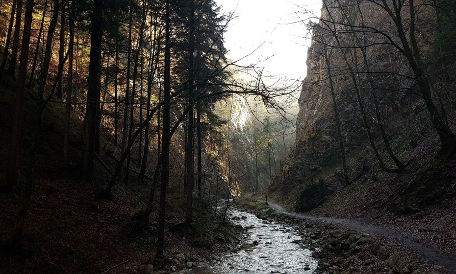 Ãrflaschlucht Ãrflaschlucht