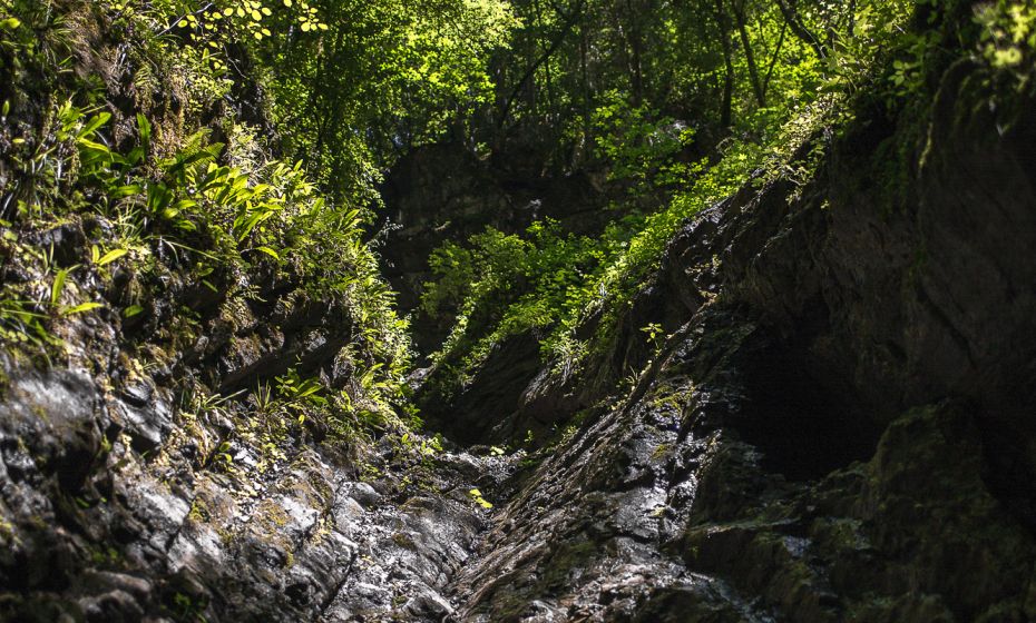 Alplochschlucht Alplochschlucht