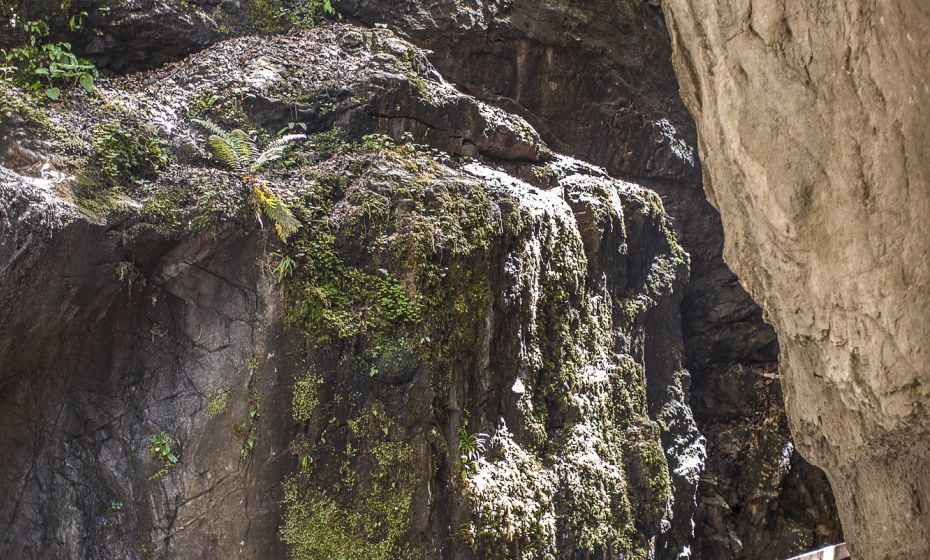 Alplochschlucht Alplochschlucht
