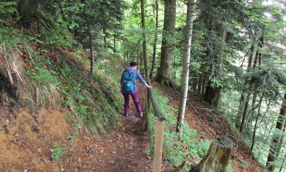 Im Zick-Zack wird die erste Steilstufe Ã¼berwunden