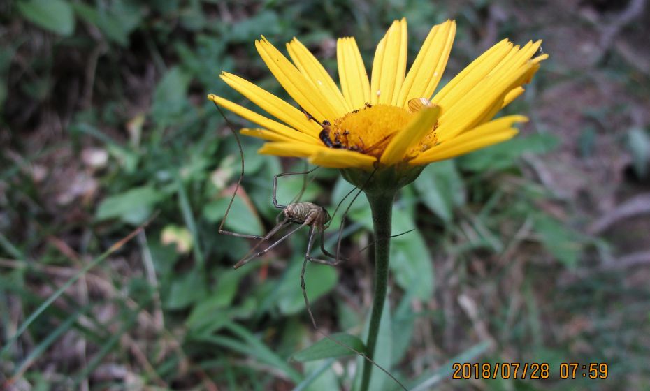 Fauna und Flora prÃ¤sentieren sich, wenn wir mit offenen Augen durch die Natur wandern