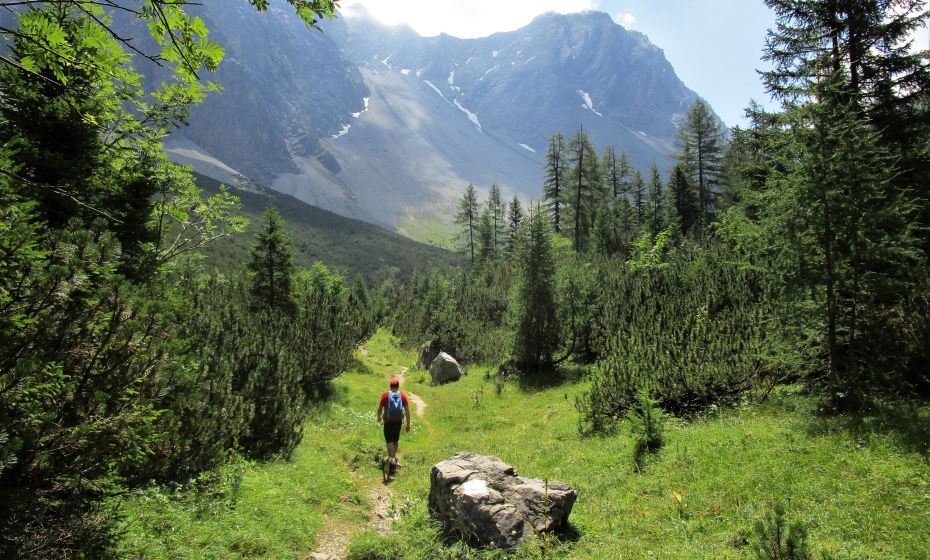 Der Weg zum See fÃ¼hrt flach durch LatschenkieferngehÃ¶lz