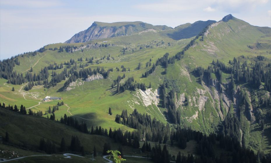 Blick vom Falben auf den Hehen Freschen und die Hohe Matona