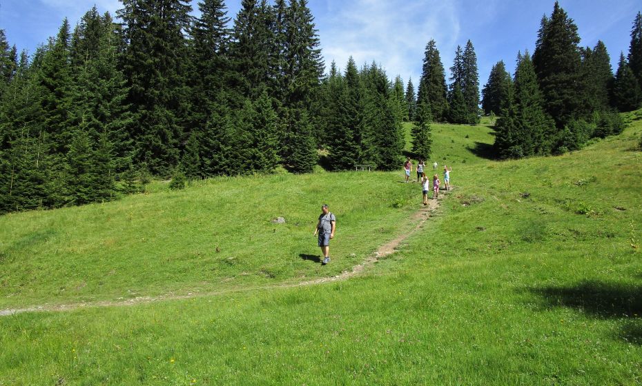 Der Weg von der Bergstation hinunter nach Kühboden ist ein beliebter Familienwanderweg Der Weg von der Bergstation hinunter nach Kühboden ist ein beliebter Familienwanderweg