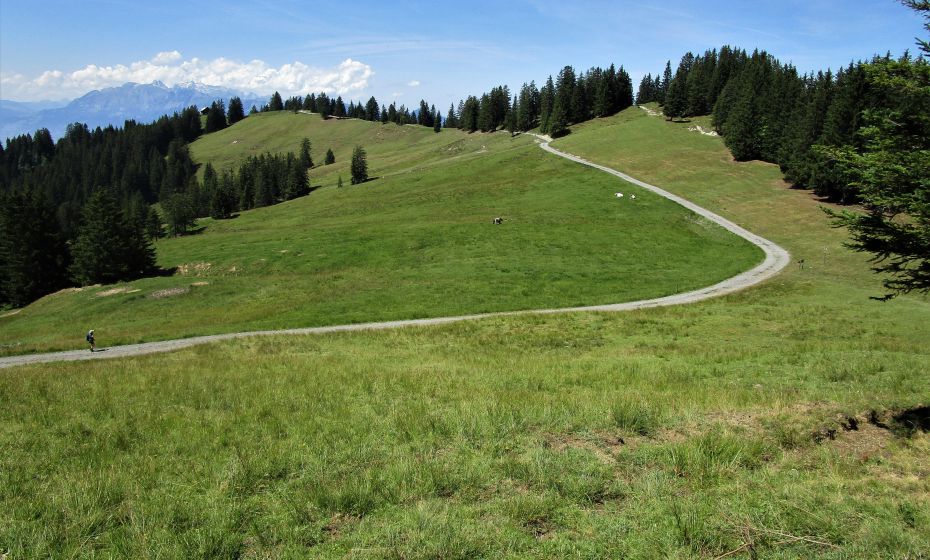 GemÃ¼tlicher Weg von der Tschuggenalpe zur AlpwegkopfhÃ¼tte