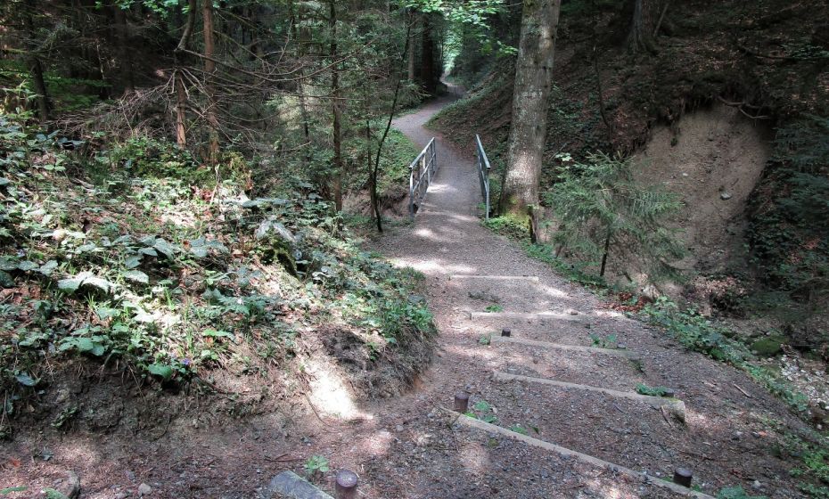 Diese Variante fÃ¼hrt durch eine schÃ¶ne, abwechslungsreiche Waldlandschaft