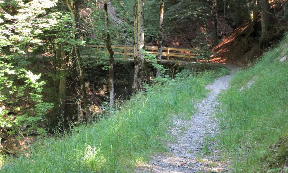 Erich Zucalli - www.guideservice.at Tobel und Töbelchen wechseln sich beständig ab
