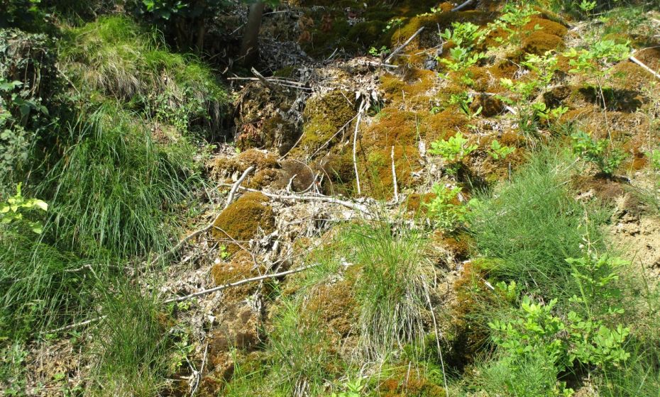 Quelltuff direkt am Radweg