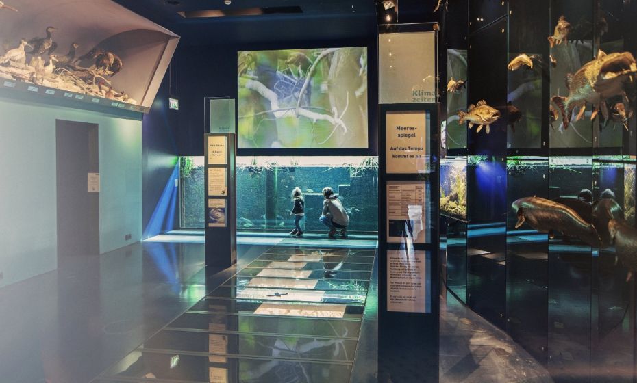 inatura Dornbirn - Vorarlberg Tourismus Inatura Dornbirn