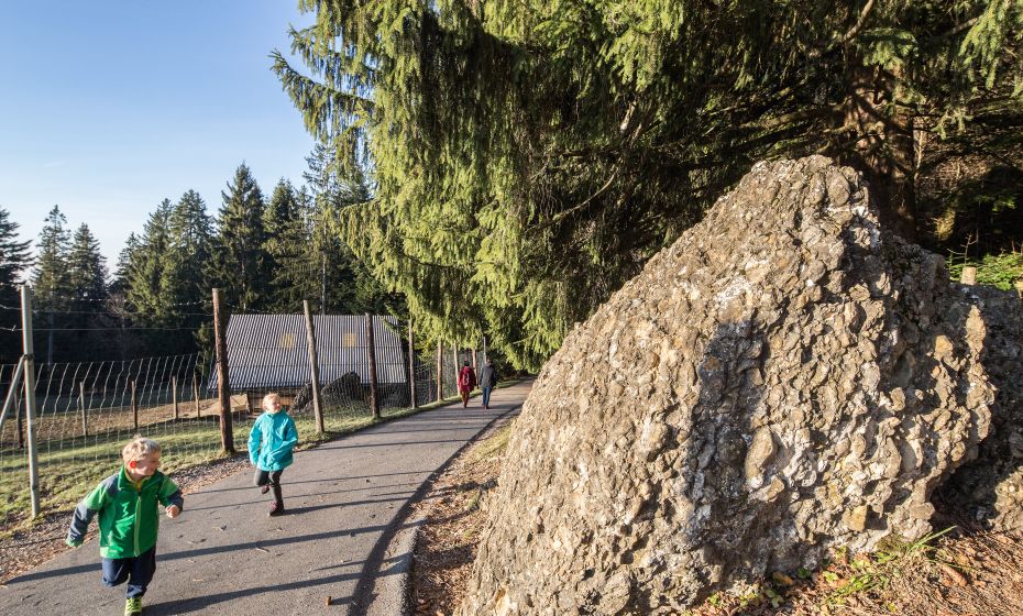 Pfänder Alpenwildpark Pfänder Alpenwildpark