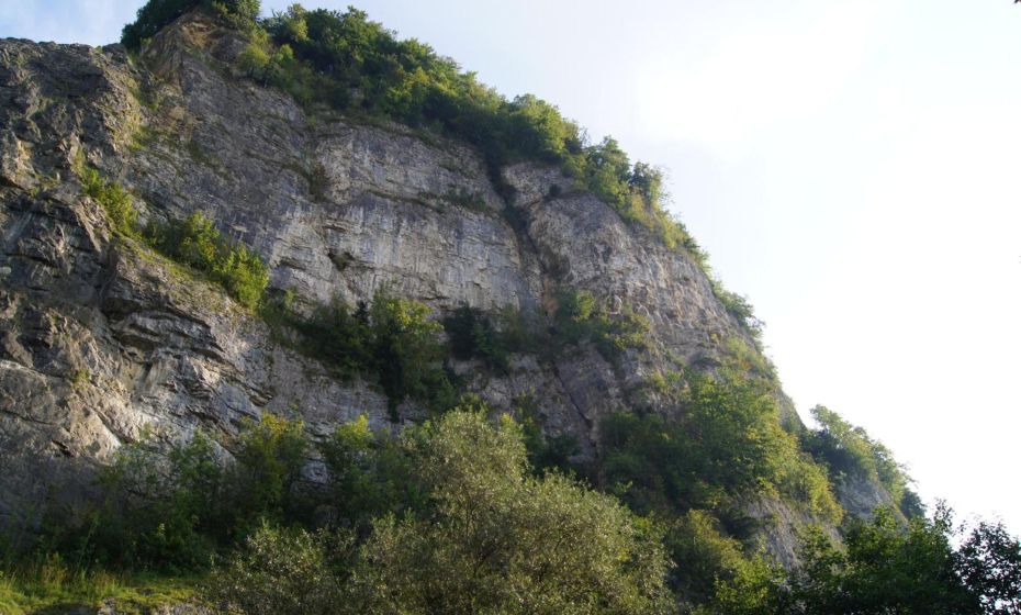Landgasthof Hirschen