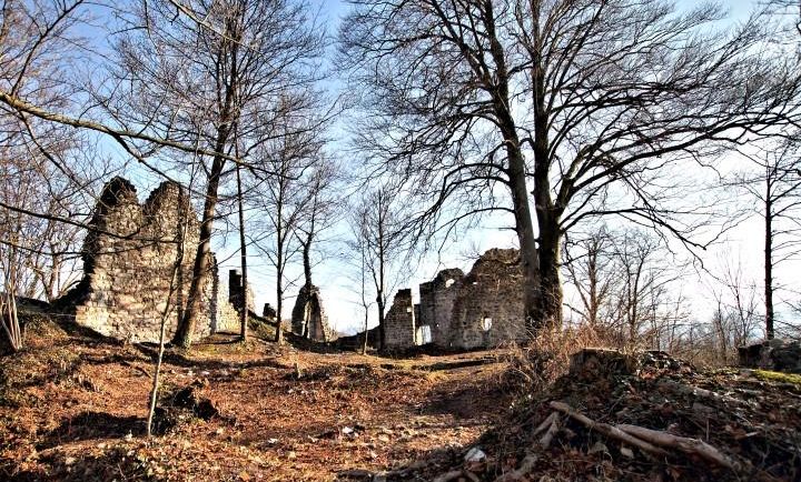 Barbara Neyer - Gemeinde Koblach .jpg.jpeg