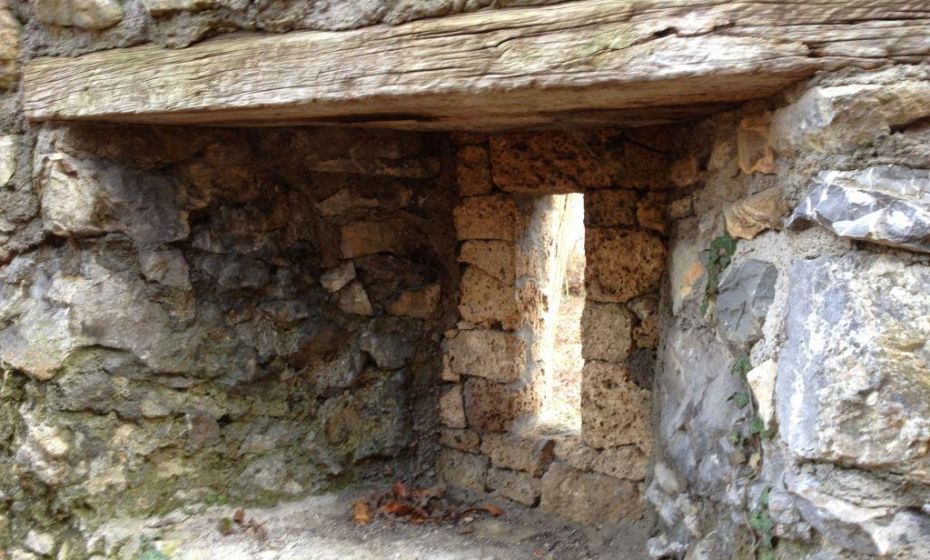 Barbara Neyer .jpg.jpeg