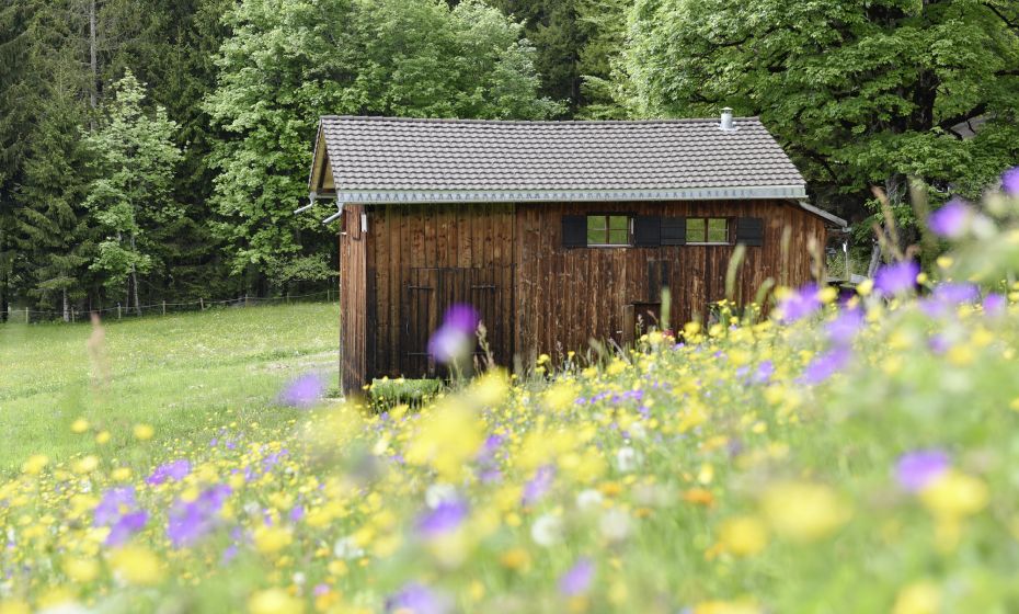 Ferienhütte "Birihof" - Kofler, Laterns Ferienhütte "Birihof" - Kofler, Laterns
