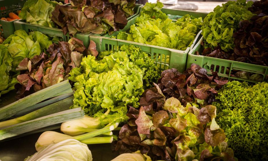 DornbirnerWochenmarkt(c)DornbirnTourismus&StadtmarketingGmbH_www.fasching.photo (65) Wochenmarkt DornbirnerWochenmarkt(c)DornbirnTourismus&StadtmarketingGmbH_www.fasching.photo (65) Wochenmarkt
