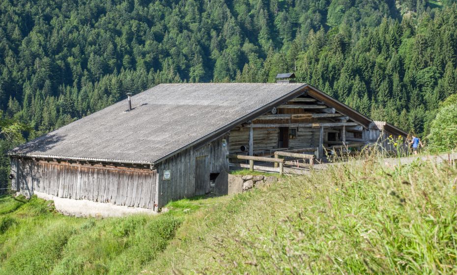 Helmut Düringer Lindenbachalpe, Dornbirn-Ebnit