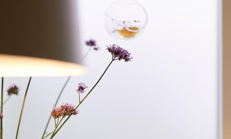 Rotes Haus Bregenz Garten Wohnung