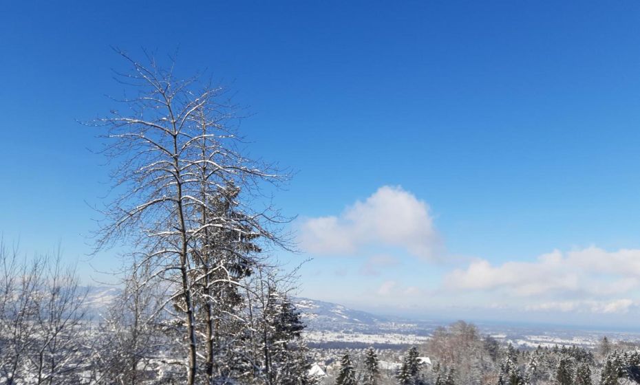 Ferienwohnung Bodenseeblick