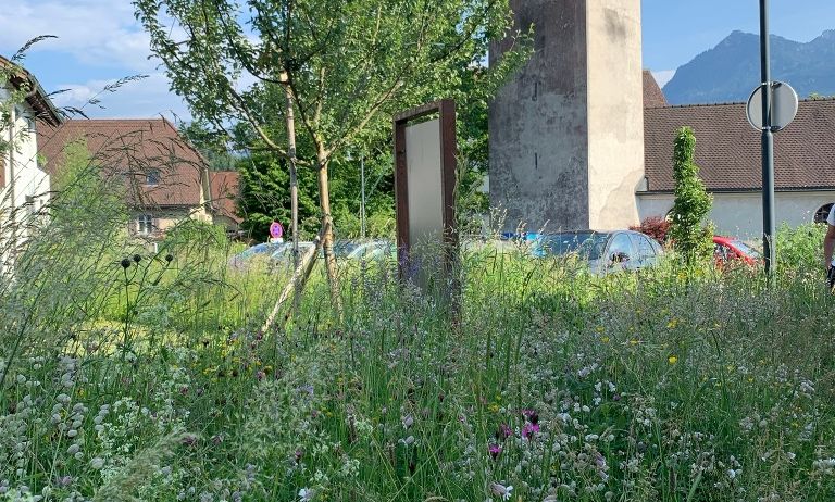 Schautafel Lebensraum Streuobstwiese