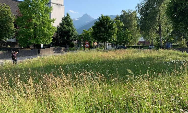 Vereinshauswiese Ansicht Vereinshauswiese Ansicht