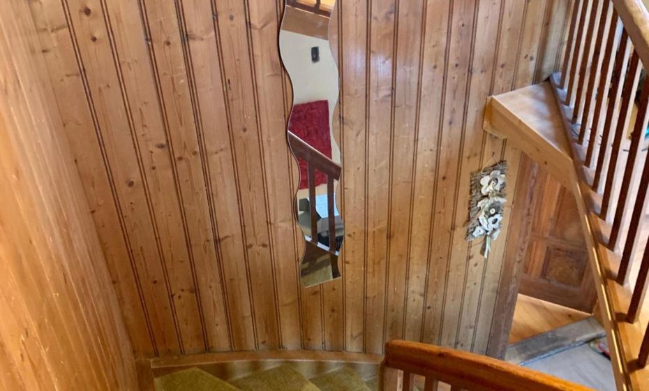 Rosinas DreilÃ¤nderblick