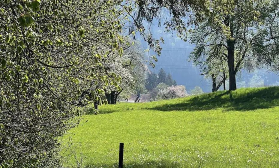 Gasthof - Auszeit im Bad Diezlings - Adults only Gasthof - Auszeit im Bad Diezlings - Adults only