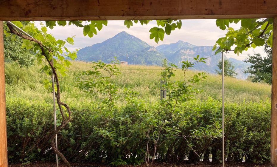 Am Romberg Am Romberg