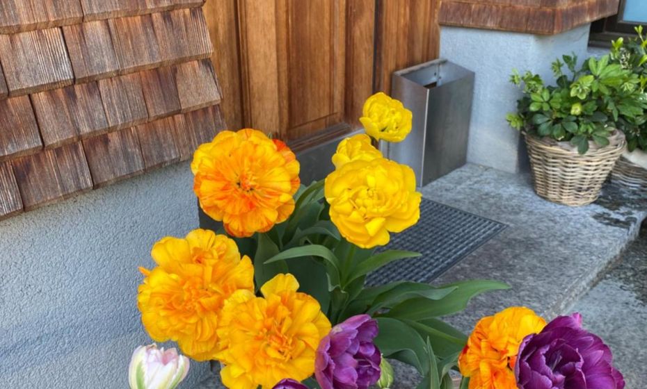 mama käthe - Apartments mama käthe - Apartments