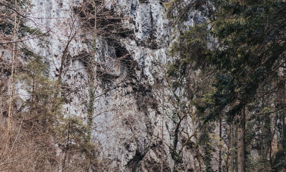 Naturpicknick Ãrflaschlucht