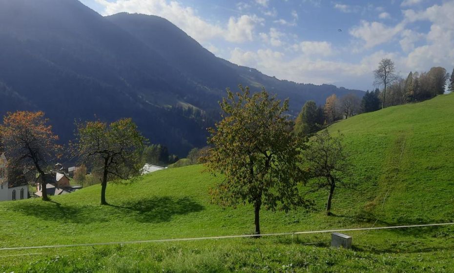 Sunnaschi Appartements - Wohnungen oder gesamt als "Hütte" Sunnaschi Appartements - Wohnungen oder gesamt als "Hütte"
