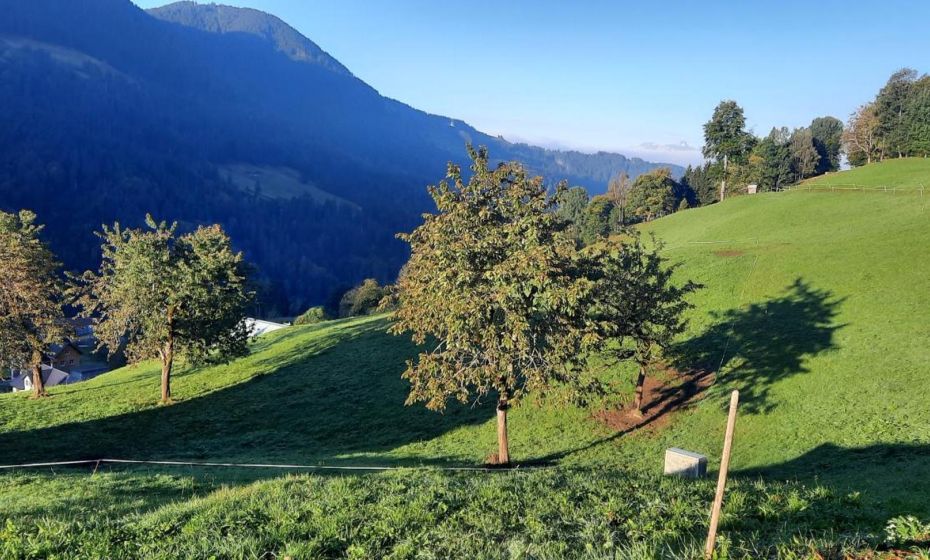 Sunnaschi Appartements - Wohnungen oder gesamt als "Hütte" Sunnaschi Appartements - Wohnungen oder gesamt als "Hütte"