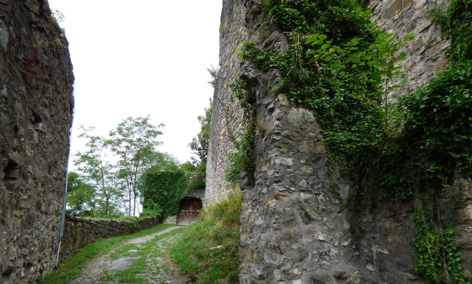 Jagdberg, Schlins_1 (c) Julia Reis.jpg