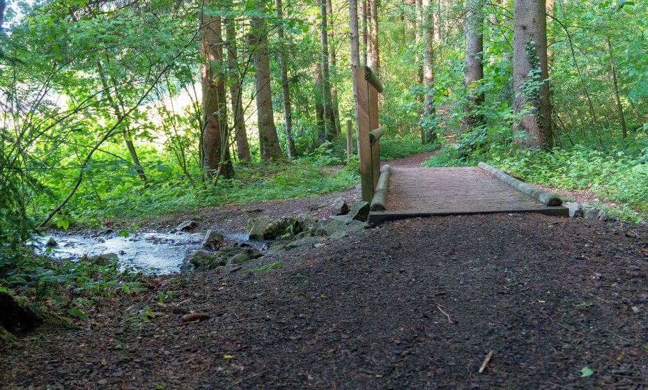 Weg zum Wasserhaus St. Arbogast