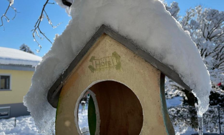 Negrelli Appartement