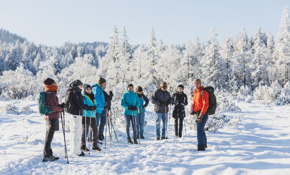 Naturpicknick Bödele Naturpicknick Bödele