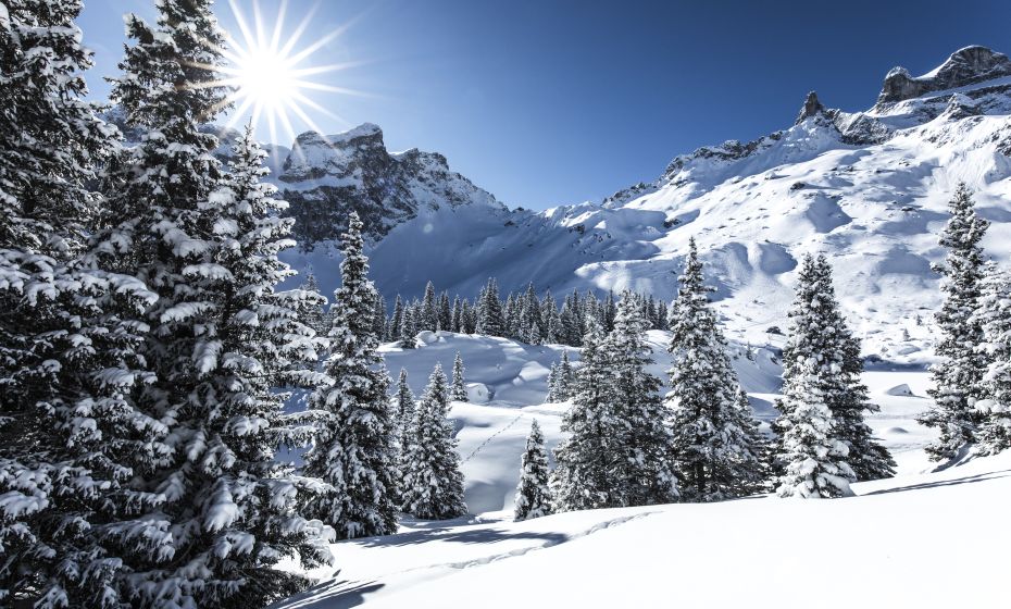 Winterlandschaft Gauertal