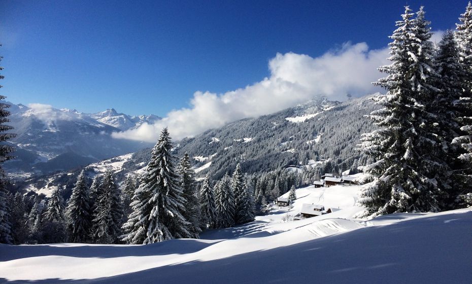 Ausblick vom Winterwanderweg