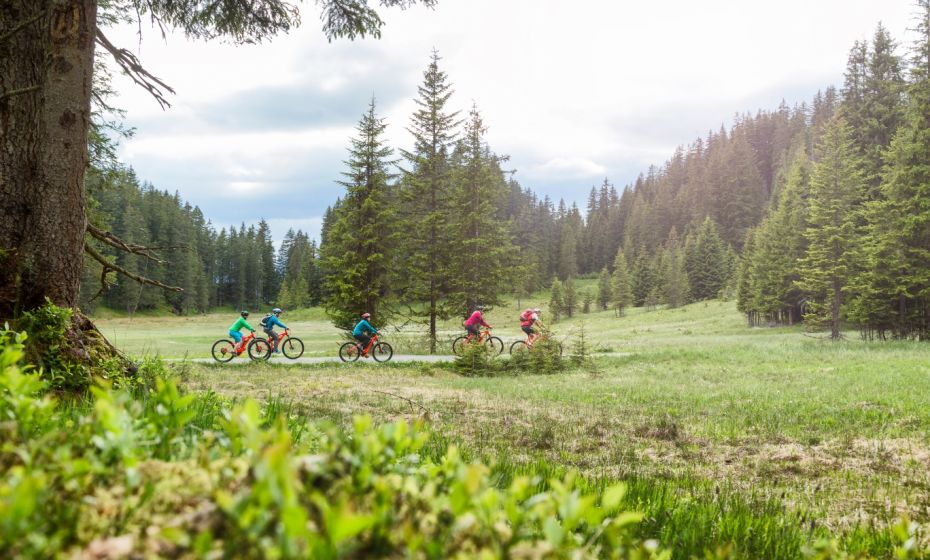 __NO_NAME__ __NO_NAME__