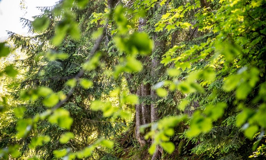 __NO_NAME__ __NO_NAME__