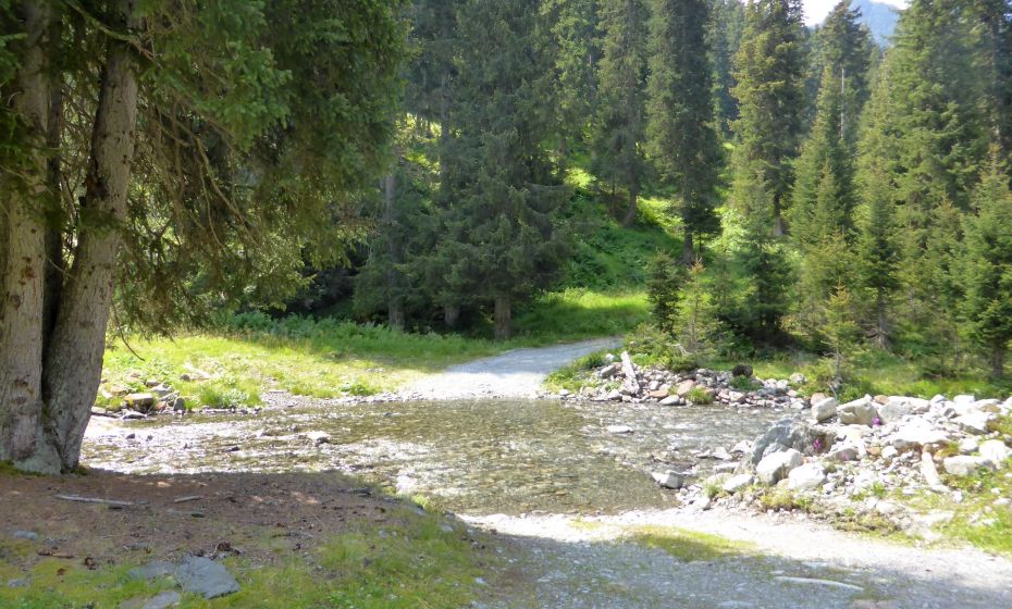 Hinteres Silbertal im Europaschutzgebiet Verwall