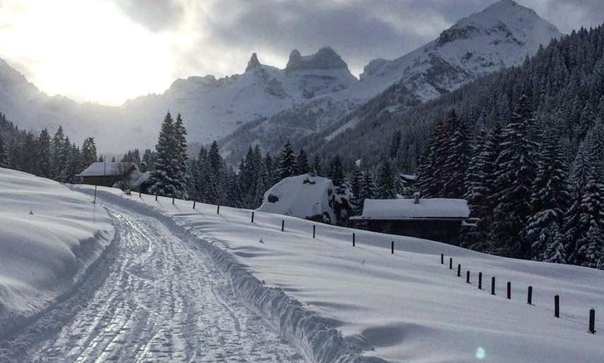 Gauertal Gauertal