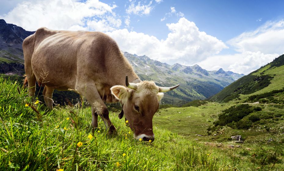 __NO_NAME__ __NO_NAME__