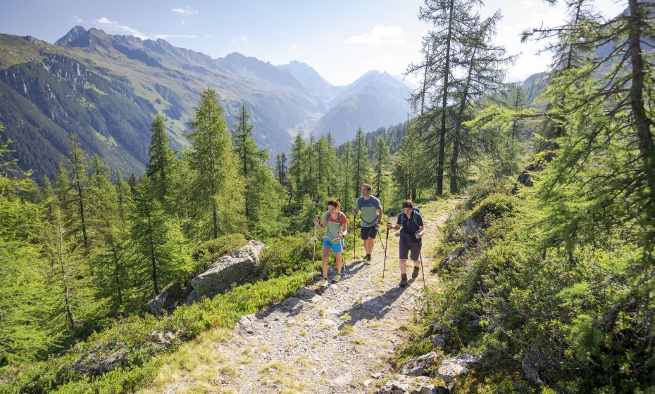 Wanderung Richtung Grasjoch Wanderung Richtung Grasjoch