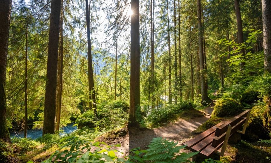Talweg von St. Gallenkirch nach Partenen Talweg von St. Gallenkirch nach Partenen