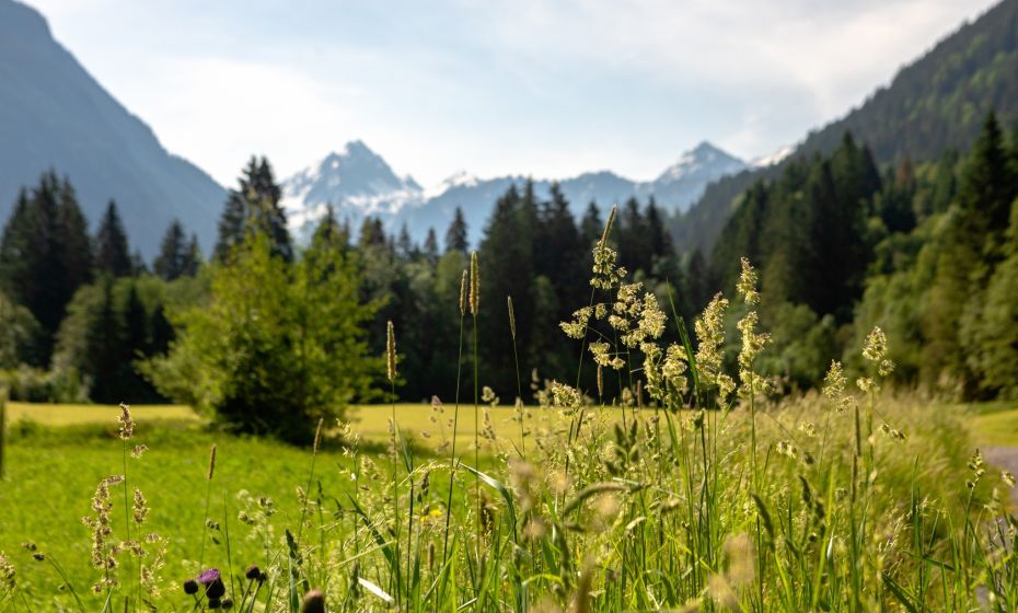 Talweg von St. Gallenkirch nach Partenen Talweg von St. Gallenkirch nach Partenen