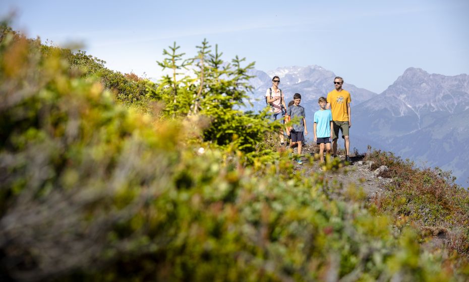 Naturkräftepfad Naturkräftepfad